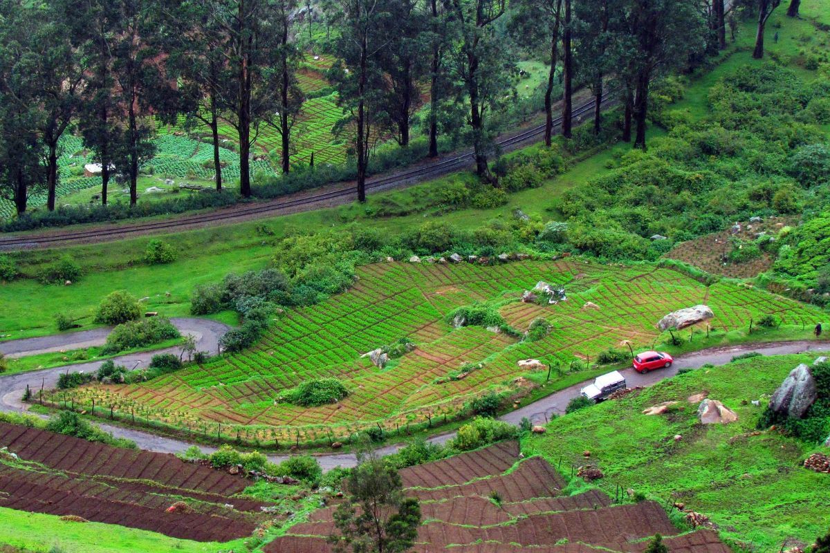 Delhi to Bangalore