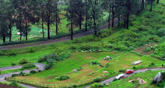 Bangalore to Delhi